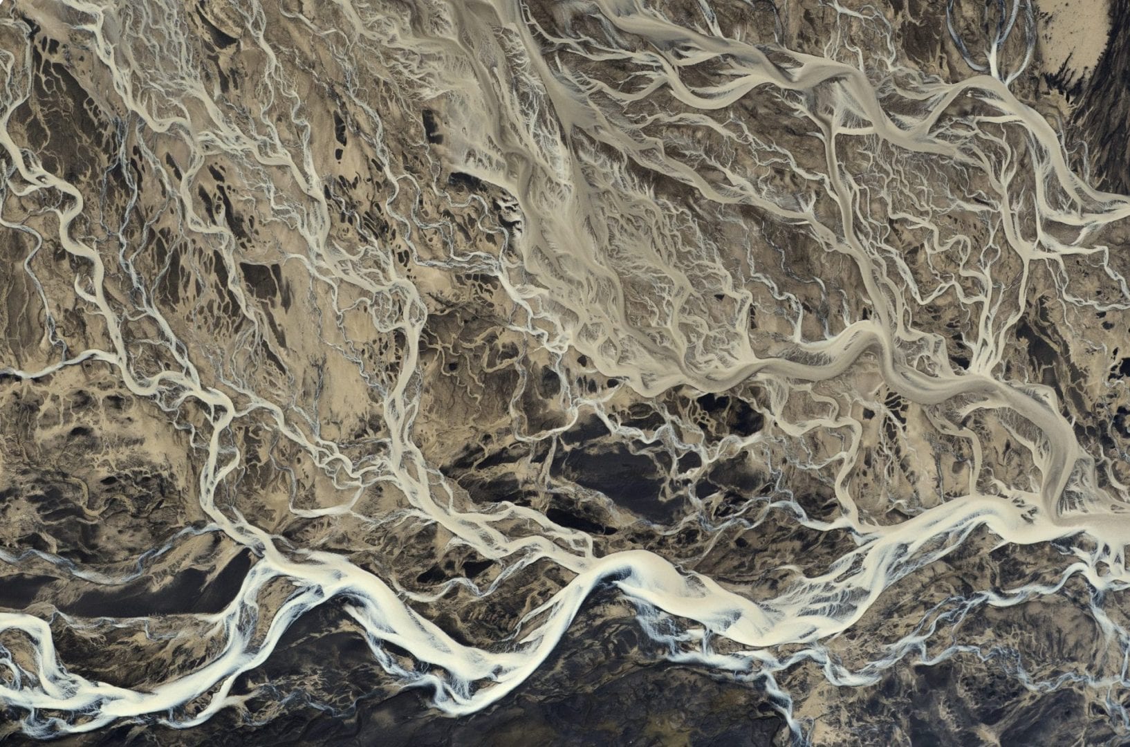 ISI發佈有關Plan S的研究報告，向學術界提出了若干關鍵性議題