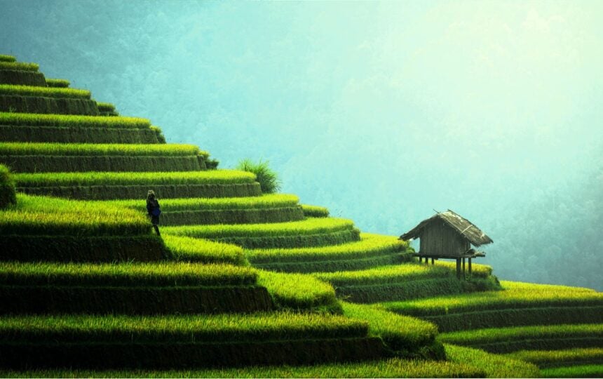 ResearcherIDプラットフォーム移行のお知らせ（2）