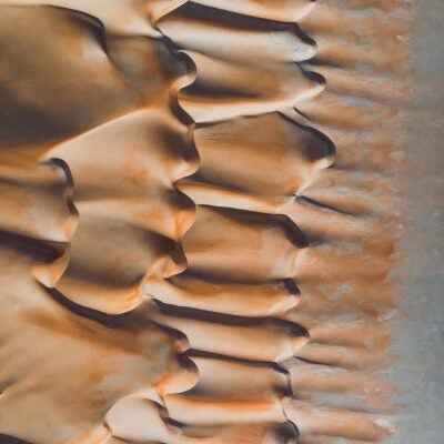 Spotlight on our Chandler Global Business Center