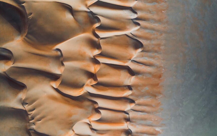 Spotlight on our Chandler Global Business Center