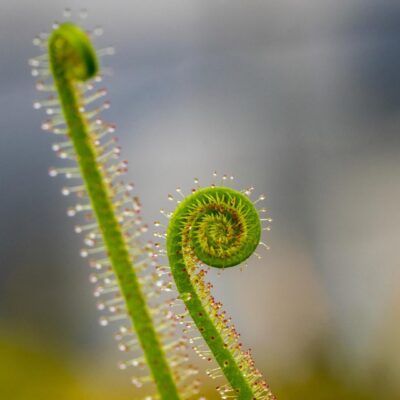 Clear signals for sustainability: Spotlight on Belgrade