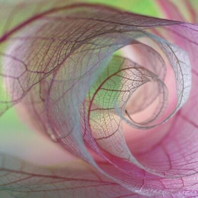 Celebrating women in science