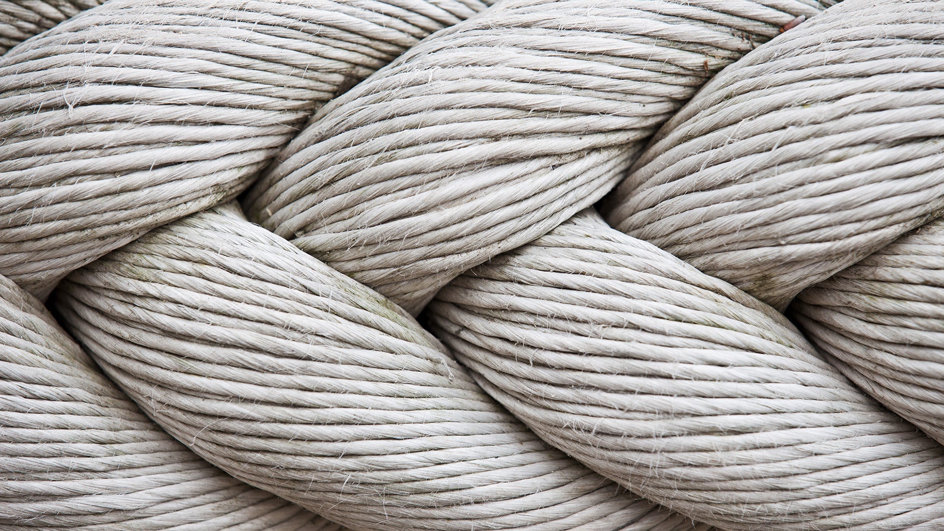 Clarivate Cited in B2B2C Journey Mapping Reports by Independent Research Firm