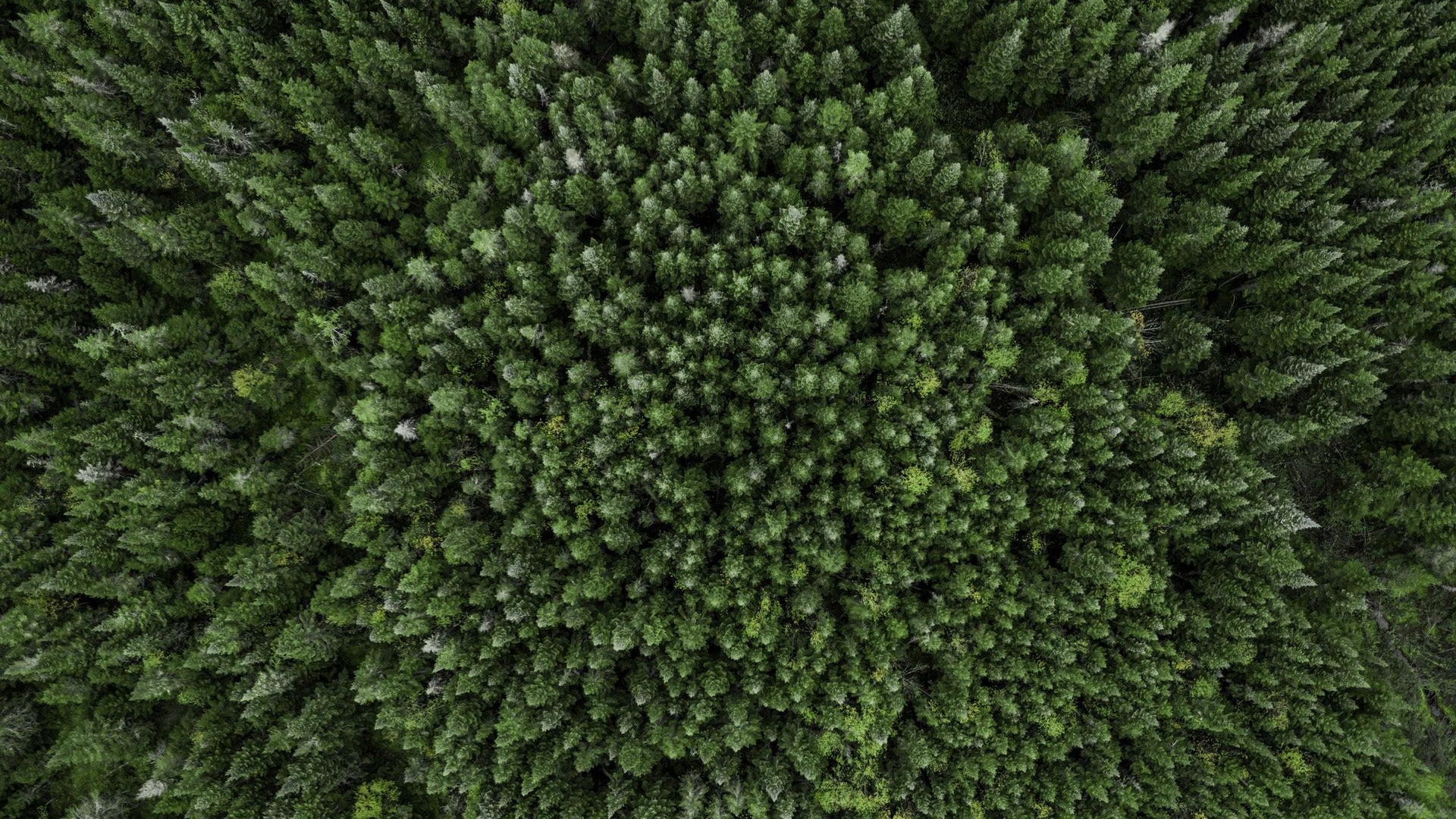 Sustainability is a Key Driver of Innovation in South and Southeast Asia, Says New Clarivate Report