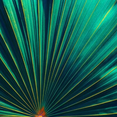 클래리베이트 Real-World Data기반의 새로운 생명과학 분석 제품 ‘DRG Fusion’출시