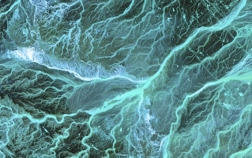 How Clarivate works towards SDG 12: Responsible consumption and production