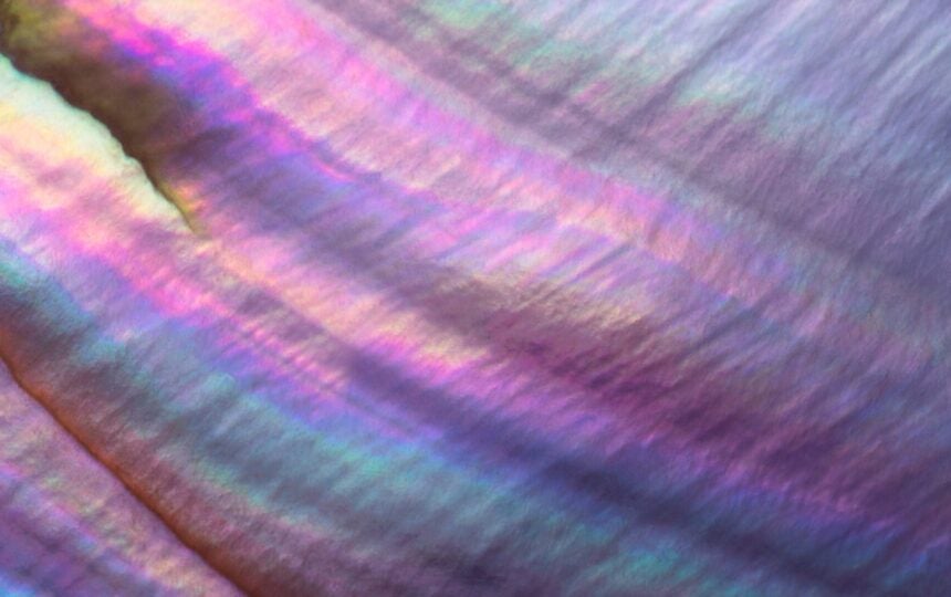 Promoting health equity for women: Highlights from scientific literature