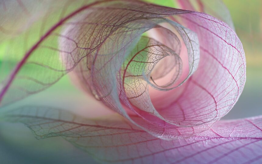 Five top tips for advancing DEI in research environments