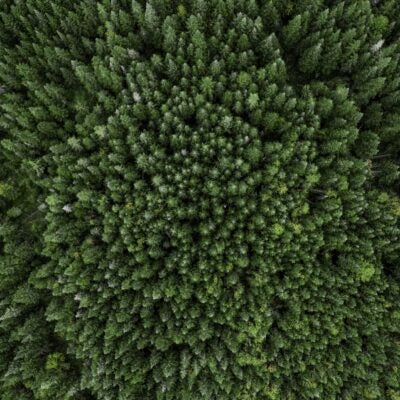 How Clarivate works towards SDG 9: Build resilient infrastructure, promote inclusive and sustainable industrialization and foster innovation