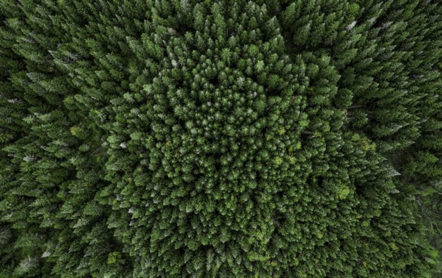 How Clarivate works towards SDG 9: Build resilient infrastructure, promote inclusive and sustainable industrialization and foster innovation