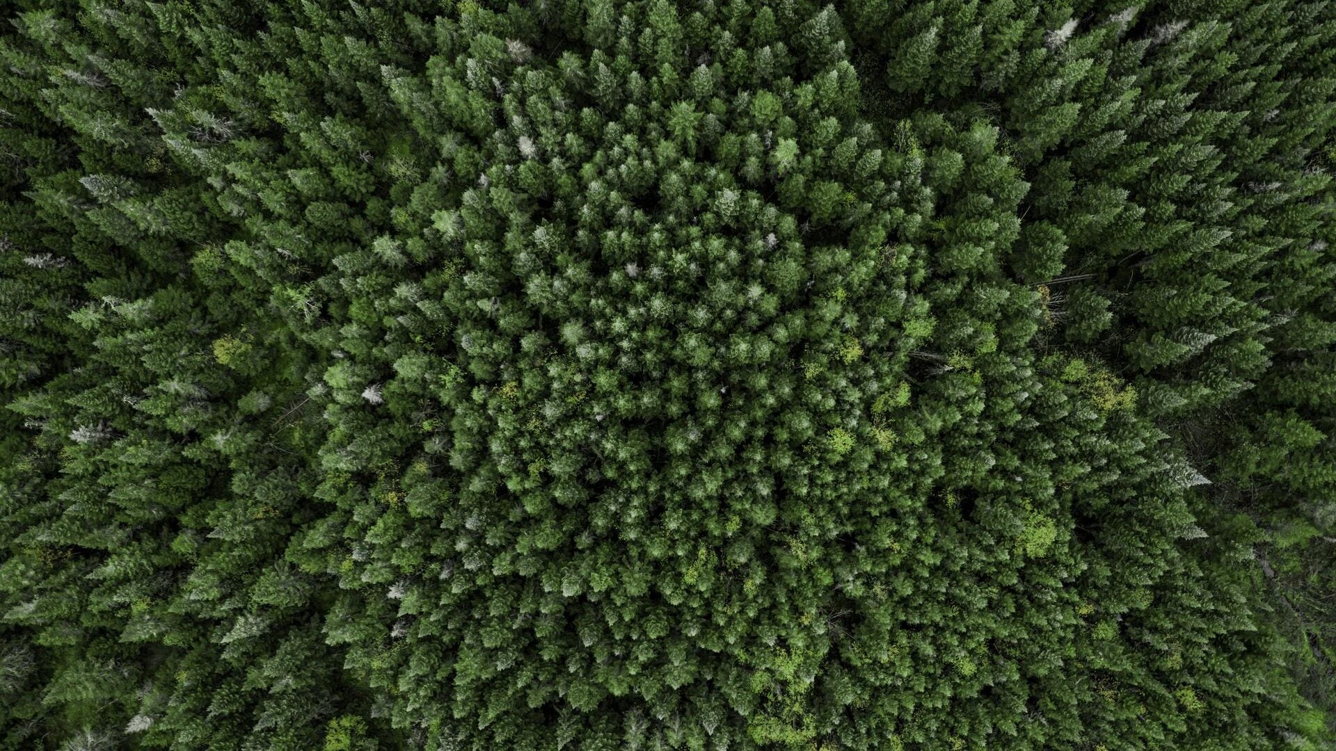 클래리베이트가 지속가능한 발전목표(SDG 9)를 추진하는 방법: 견고한 인프라 구축, 포용적이고 지속가능한 산업화 및 혁신 육성