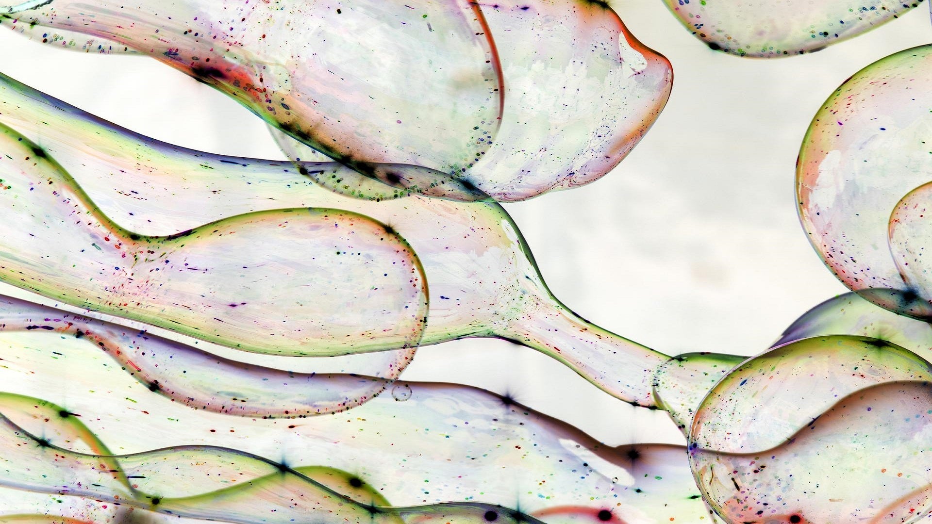 Clarivate Enhances Cortellis CMC Intelligence with Post-Approval Module to Accelerate Regulatory Success