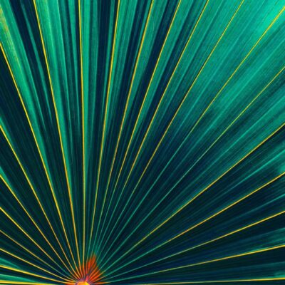 Clarivate Library Innovation Awards Reveal the 2026 Finalists