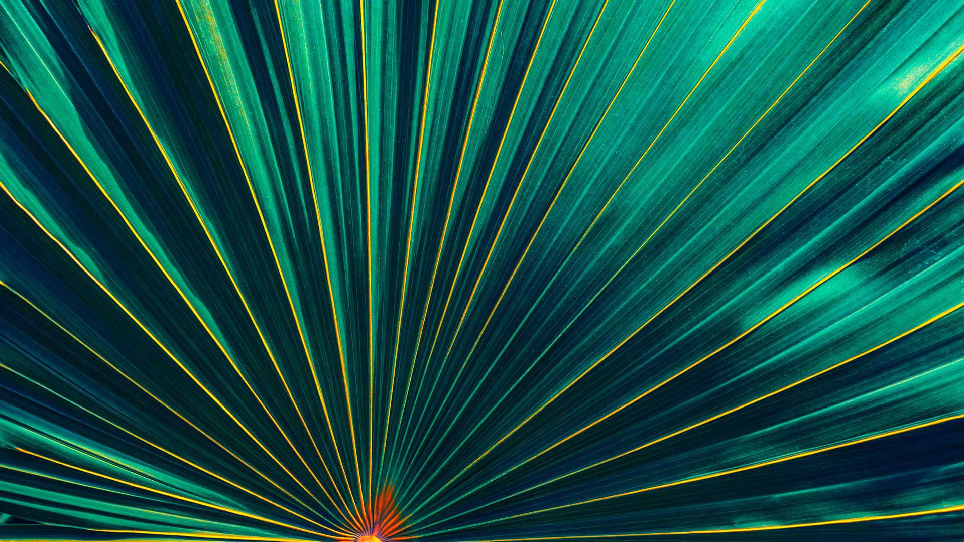 Clarivate Library Innovation Awards Reveal the 2026 Finalists