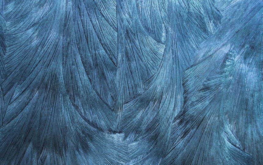 Clarivate Selected by University of Texas at Dallas Libraries to Provide Alma Specto