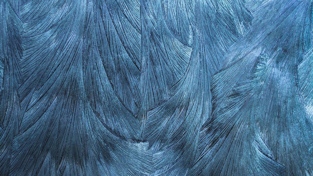 Clarivate Selected by University of Texas at Dallas Libraries to Provide Alma Specto