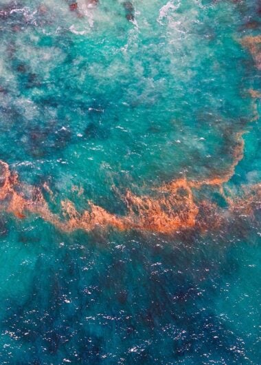 医薬品の未来を見据えた製薬企業の投資先