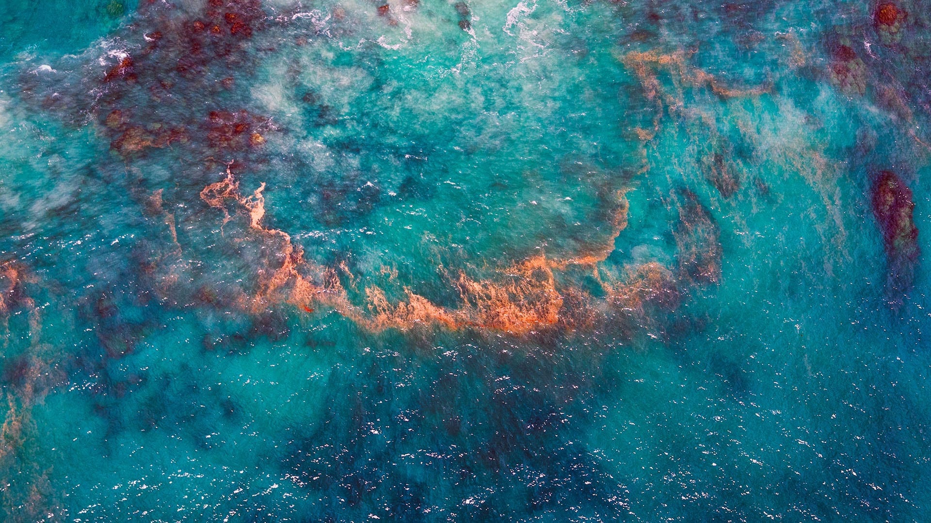 Clarivate Reports Third Quarter 2024 Results