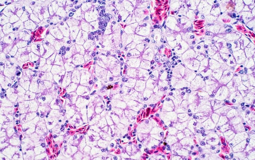 Clarivate Companies to Watch Report Spotlights Seven Innovators Shaping the Next Generation of Obesity Therapies