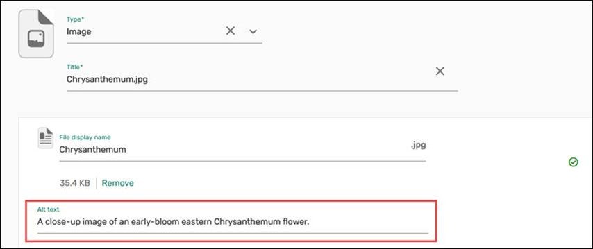 Add alt text to image list