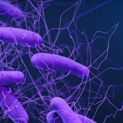 16th Annual Clarivate Pharmavision India Conference to Address Market Shifts, Innovation and Global Access