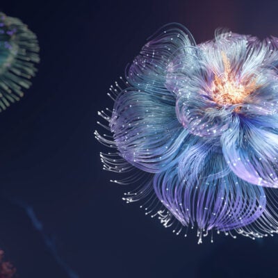 Clarivate Repeats Success in Nobel Prize Predictions with 6 New Laureates Identified by Citation Laureates Program