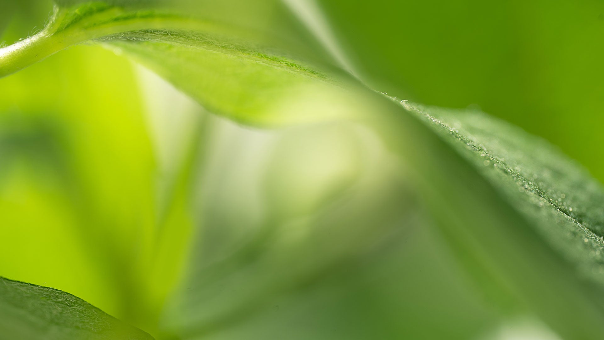 Sustainability is at the heart of our business goals
