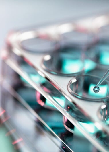 Positive topline results from the phase 3 ACHIEVE-4 trial of orforglipron announced by Eli Lilly and Co