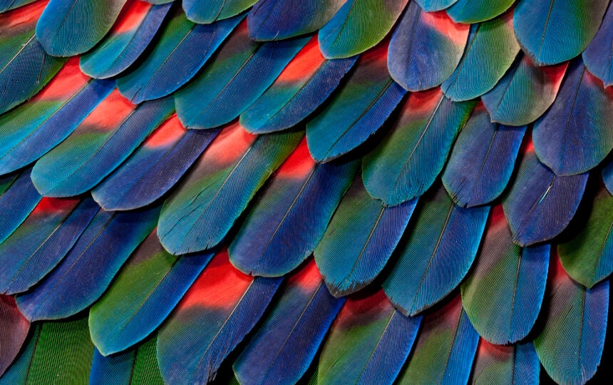 Clarivate empowers libraries to unlock the value of their collections with Alma Specto