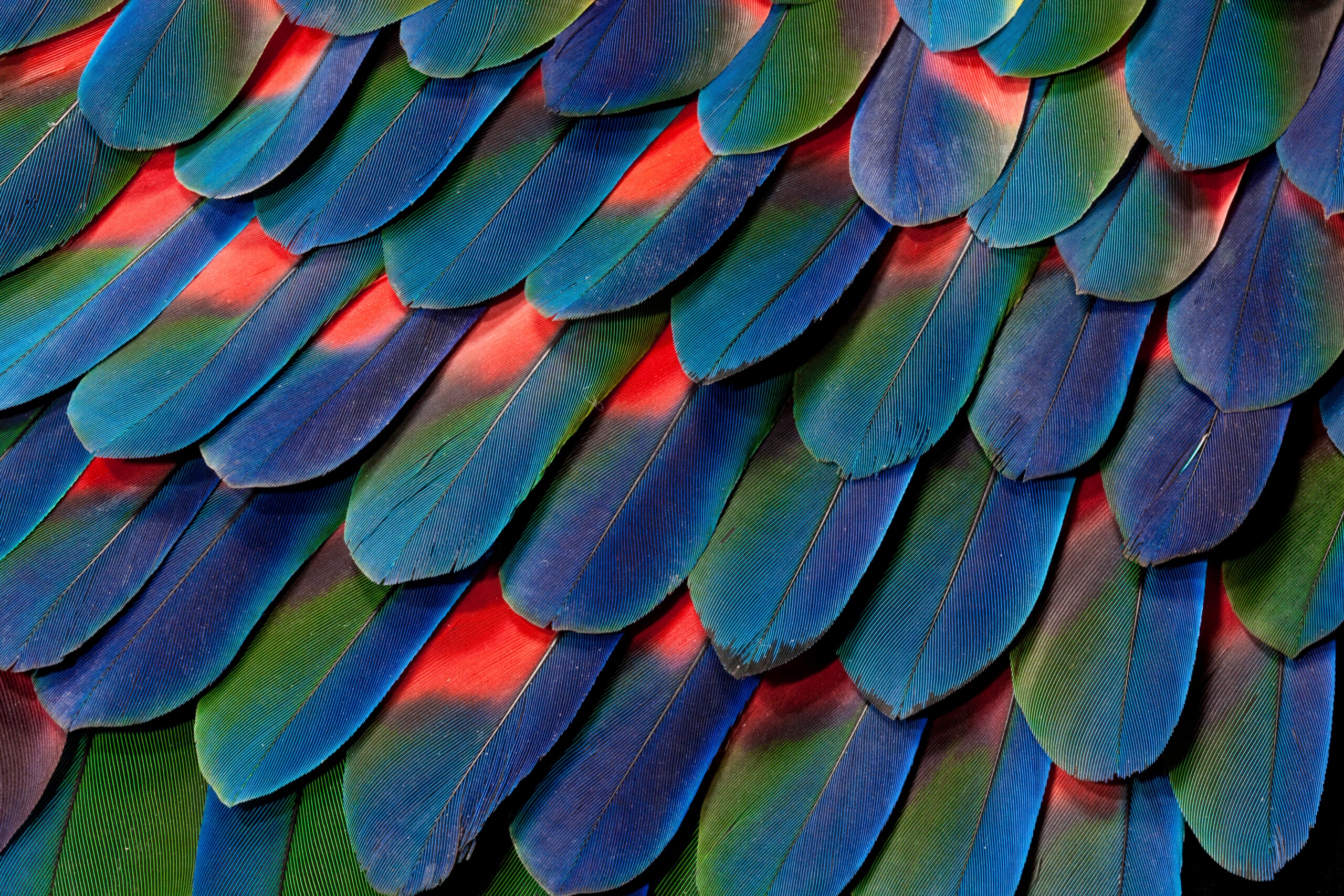 Clarivate empowers libraries to unlock the value of their collections with Alma Specto