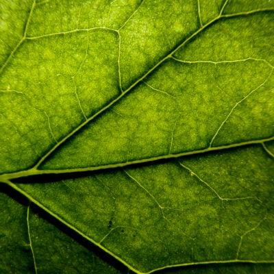 Clarivate Releases 2025 Sustainability Report