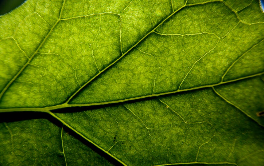 Clarivate Releases 2025 Sustainability Report