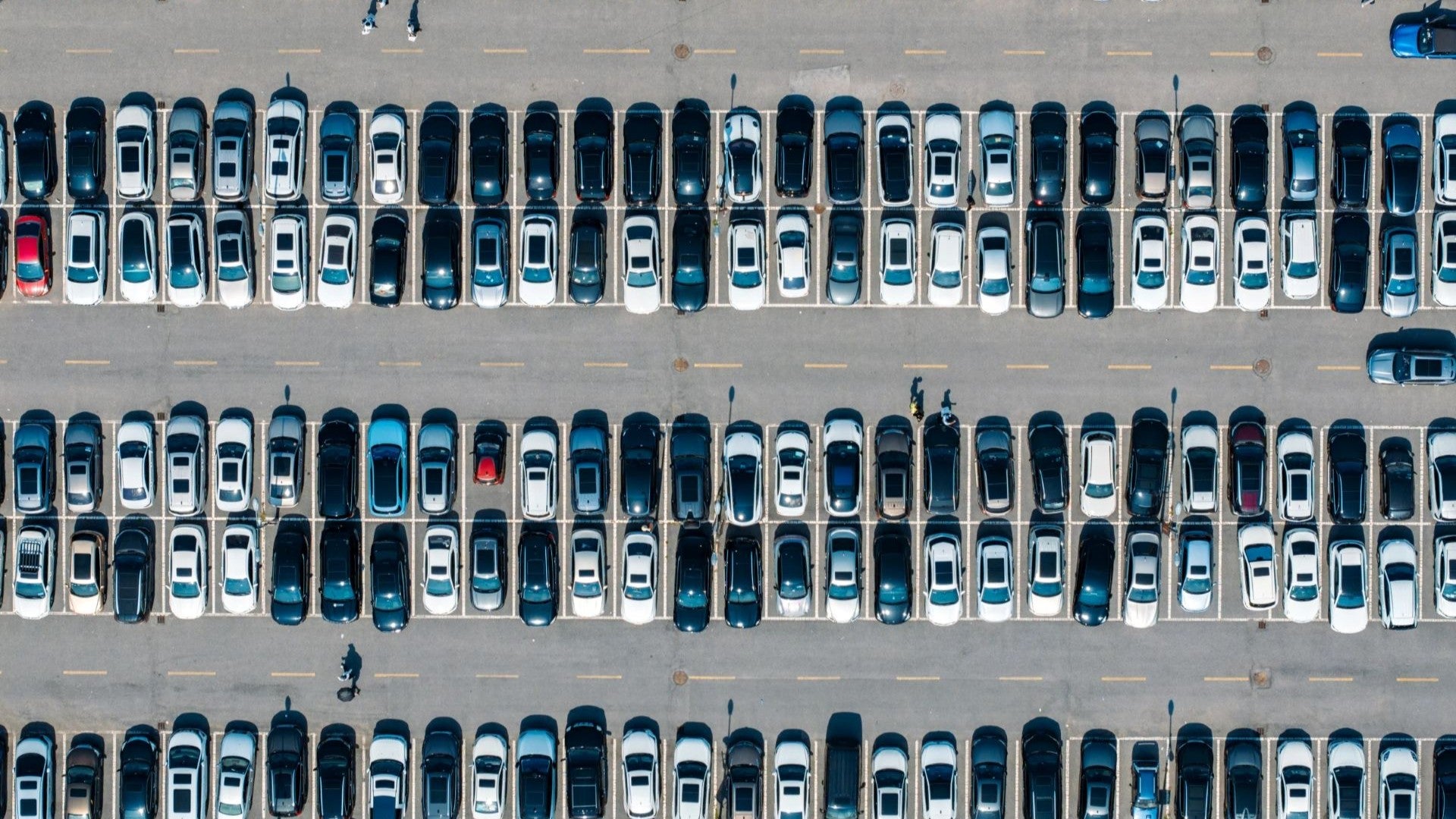 How Clarivate Approaches Security for Cloud-Based Services