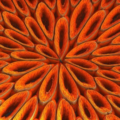 Journal Citation Reports 2022: COVID-19 research continues to drive increased citation impact