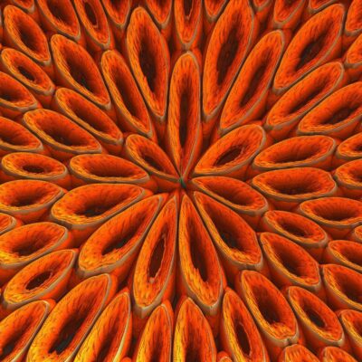 Journal Citation Reports 2022:COVID-19연구가 논문인용에도 지속적인 영향력을 미치고 있음이 밝혀져