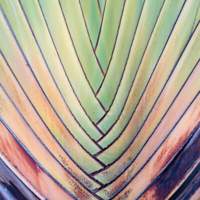 Building trust through transparency: Our pledge to provide more clarity around Web of Science journal coverage