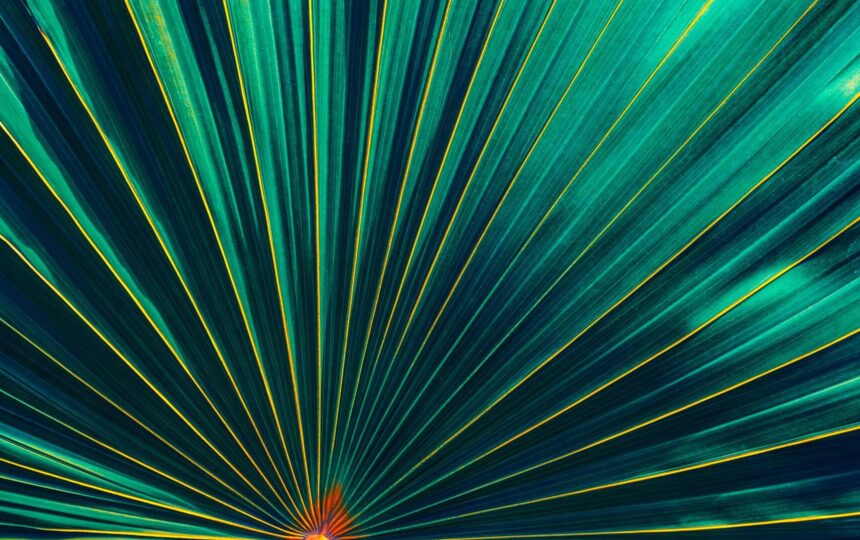 歐洲研究新資源 | Early European Books（第 25 輯）