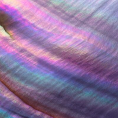 Fostering trust through transparent peer review: A discussion with experts for Peer Review Week 2023