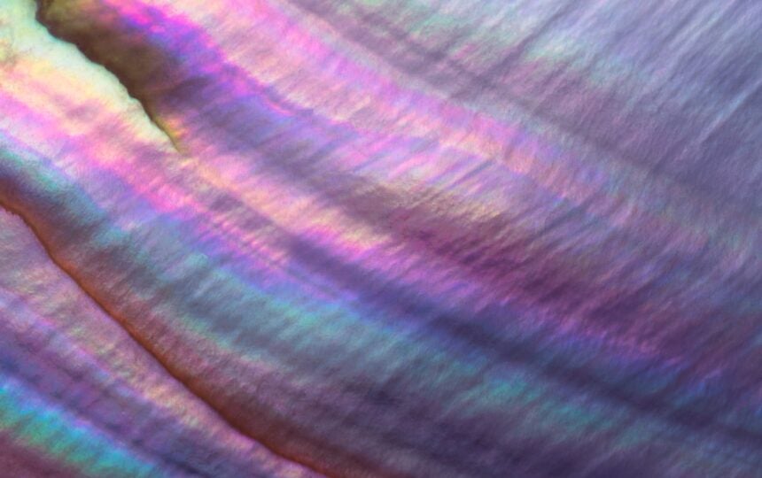 Fostering trust through transparent peer review: A discussion with experts for Peer Review Week 2023