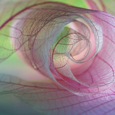 Global voices, one network: Expanding the Web of Science platform with Research Commons