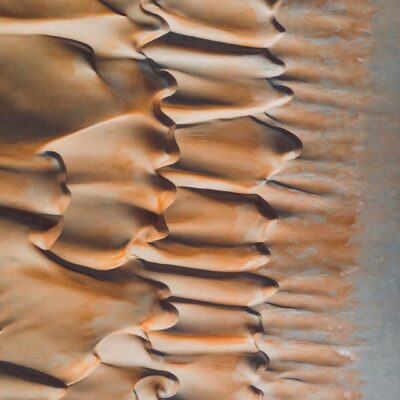 Clarivate welcomes the Barcelona Declaration on Open Research Information