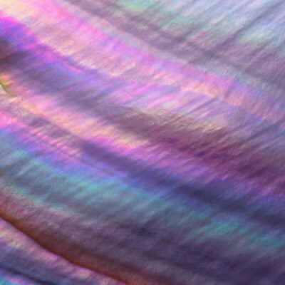 科學突破獎 ——瑪麗安·米爾扎哈尼新前沿獎獲獎者博士論文（2021 - 2025年）