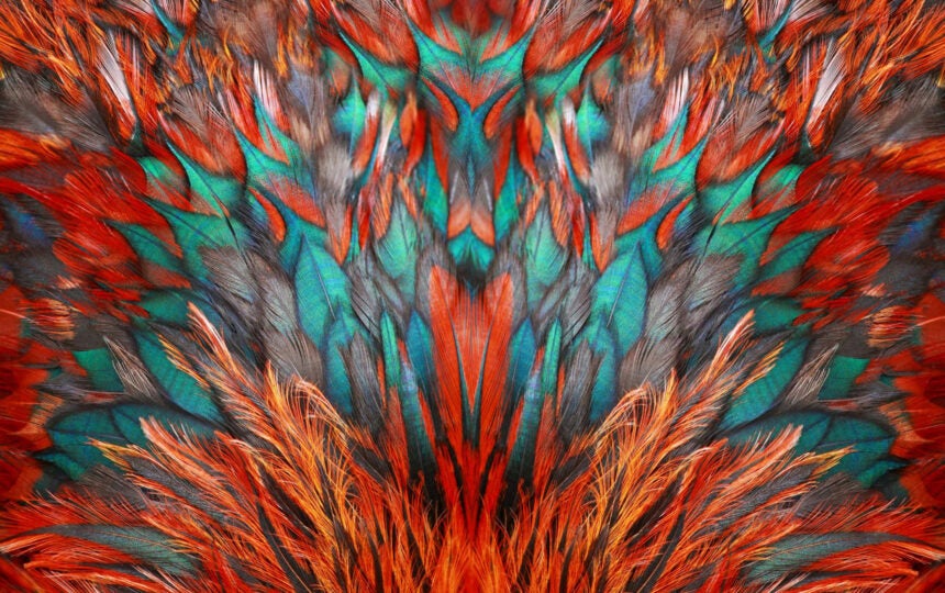 Ex Libris 面向全球 Summon 客戶推出 Summon AI 研究助理