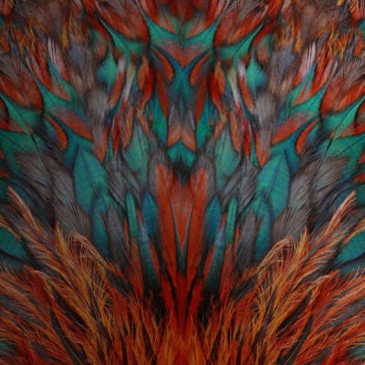 觀賞重播 | CNS 論文視角下的中國科研產出與影響力解讀