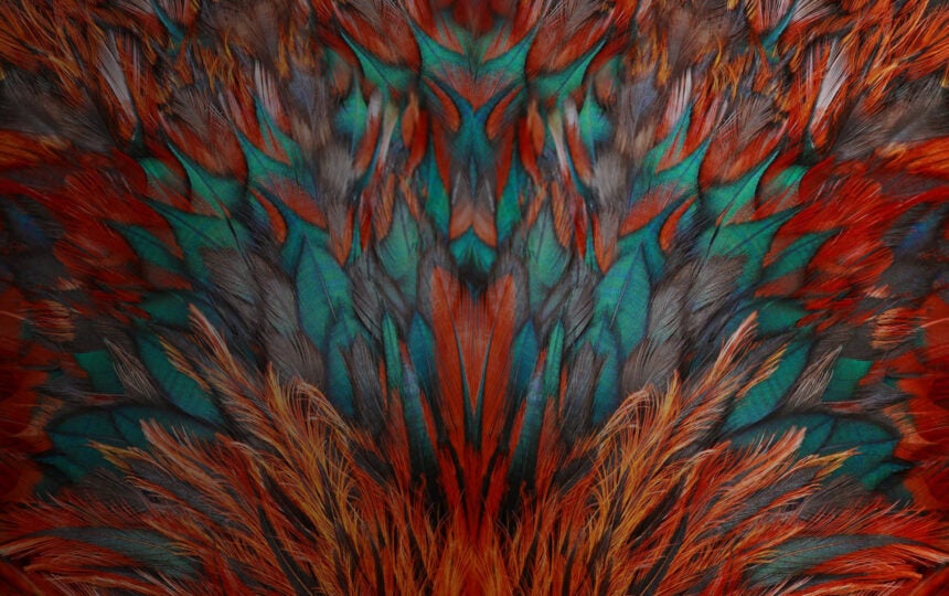 觀賞重播 | CNS 論文視角下的中國科研產出與影響力解讀