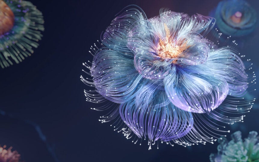 Recognizing Nobel-Class Research: The Power and Purpose of Naming Citation Laureates