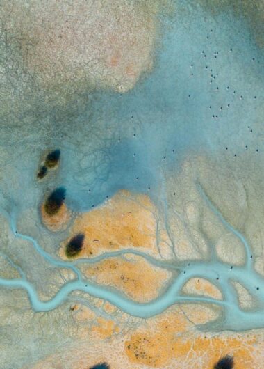 Guardrails for Responsible AI: Balancing Safety and Academic Discourse