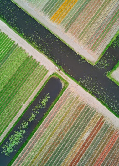 How is Clarivate addressing the environmental impact of AI tools in academia