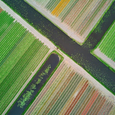 How is Clarivate addressing the environmental impact of AI tools in academia