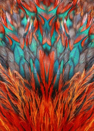 Inside the Numbers: How ProQuest Research Assistant Is Powering Smarter Research